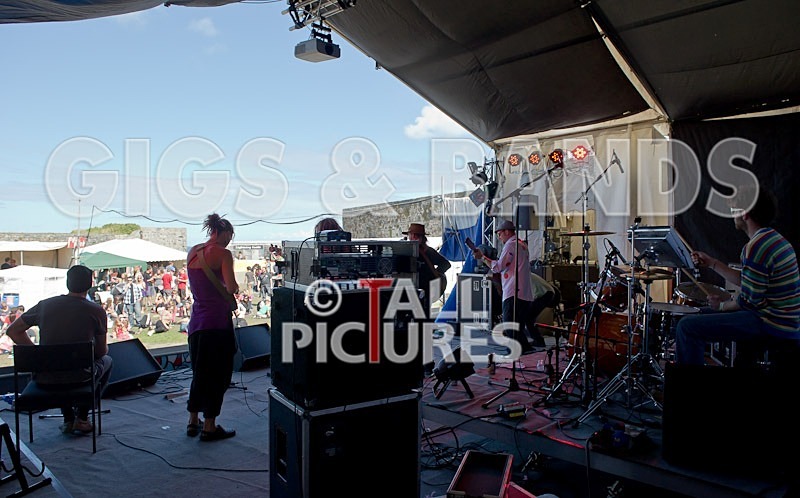 Big Sheep-13 - BIG SHEEP