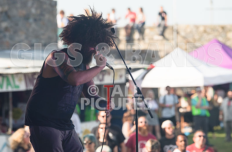 Vale Earth Fair 2017_PRESS EDIT-22 - VALE EARTH FAIR 2017_THE PRESS EDIT