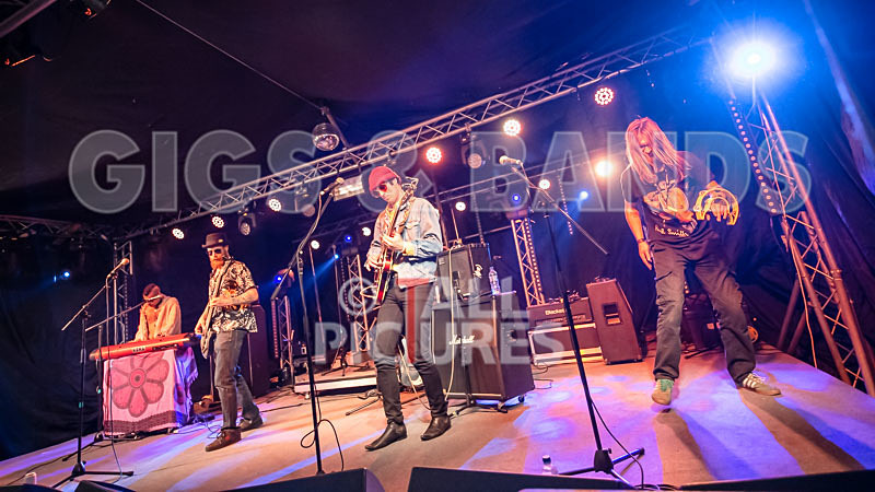 Surfin Birds-41 - SURFIN' BIRDS