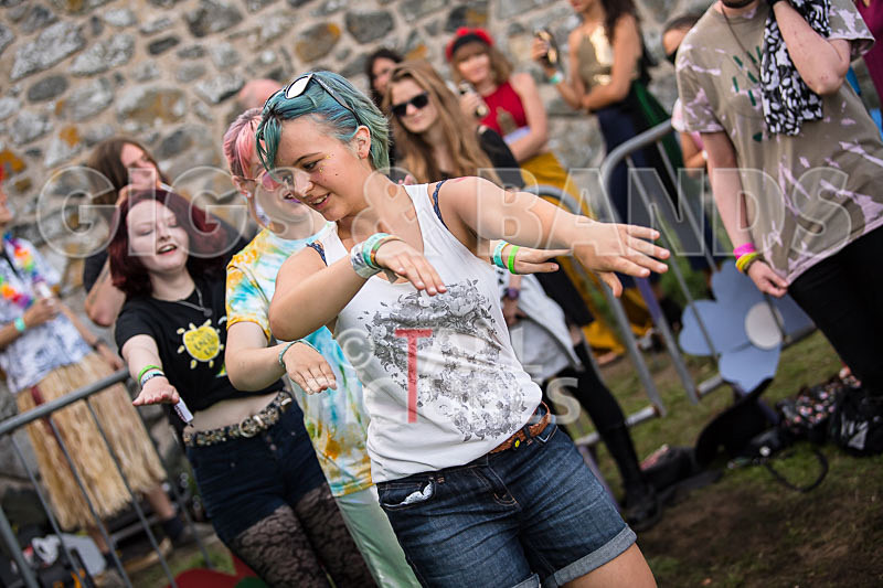 Vale Earth Fair 2017_SCENE-142 - VALE EARTH FAIR 2017_THE SCENE