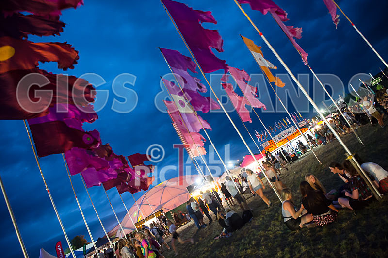 Jersey Live 2016_Scene-103 - JERSEY LIVE 2016_THE SCENE