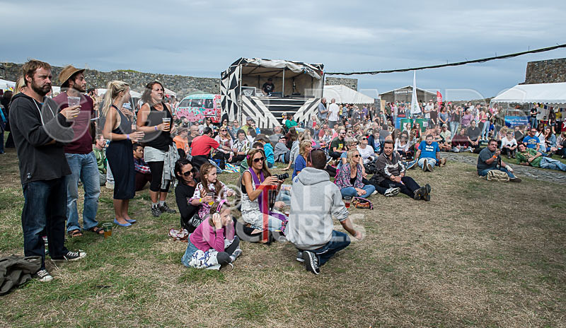 Vale Earth Fair_Atmosphere_2014-32 - VALE EARTH FAIR 2014 - THE ATMOSPHERE