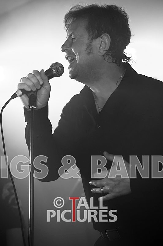 King Rat and the Soul Cats-121 - KING RAT & THE SOUL CATS