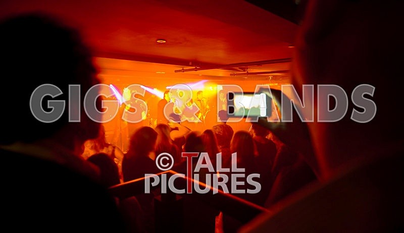 King Rat and the Soul Cats-26 - KING RAT & THE SOUL CATS