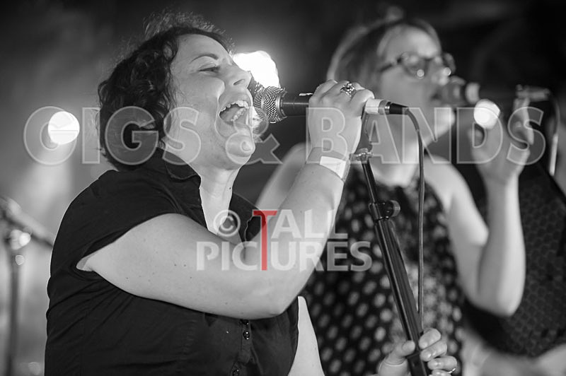 Ray and the Guns-55 - RAY AND THE GUNS