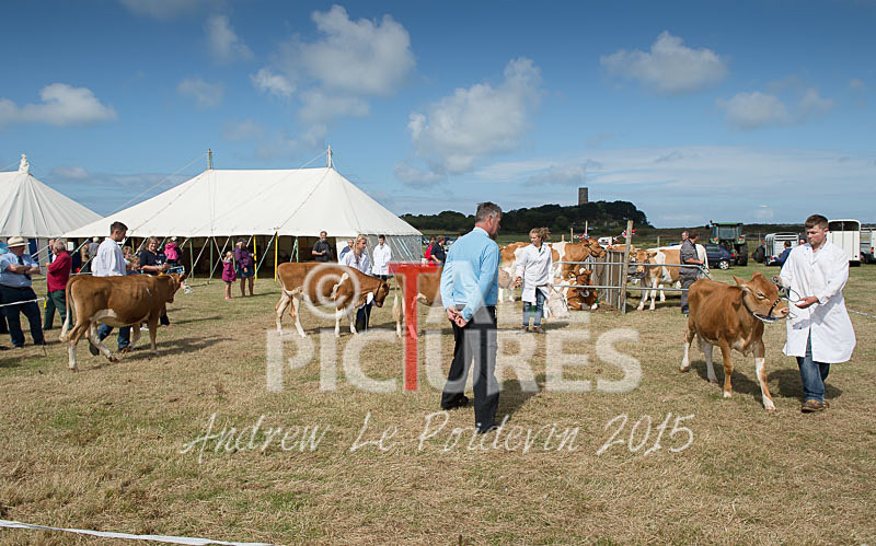 West Show_2014-16 - THE WEST SHOW 2014
