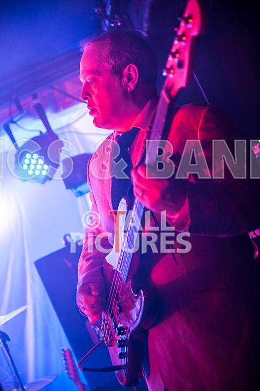 The Pulse-101 - THE PULSE