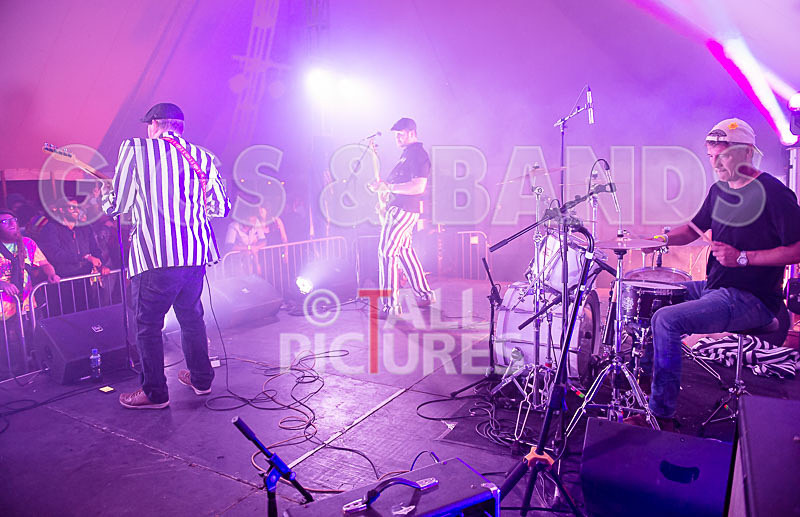 The Smooth Hounds-28 - THE SMOOTH HOUNDS