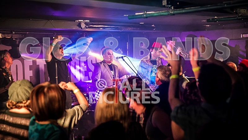 Sons of the Desert-143 - SONS OF THE DESERT