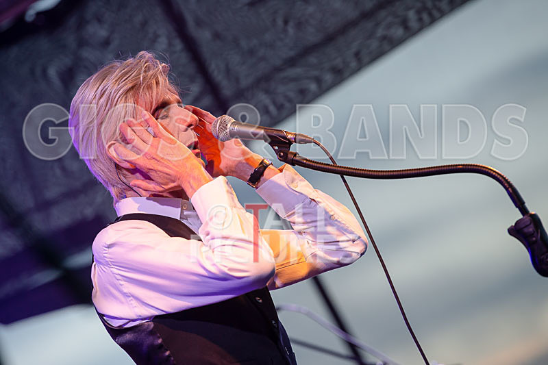 The Bowie Experience-77 - THE BOWIE EXPERIENCE