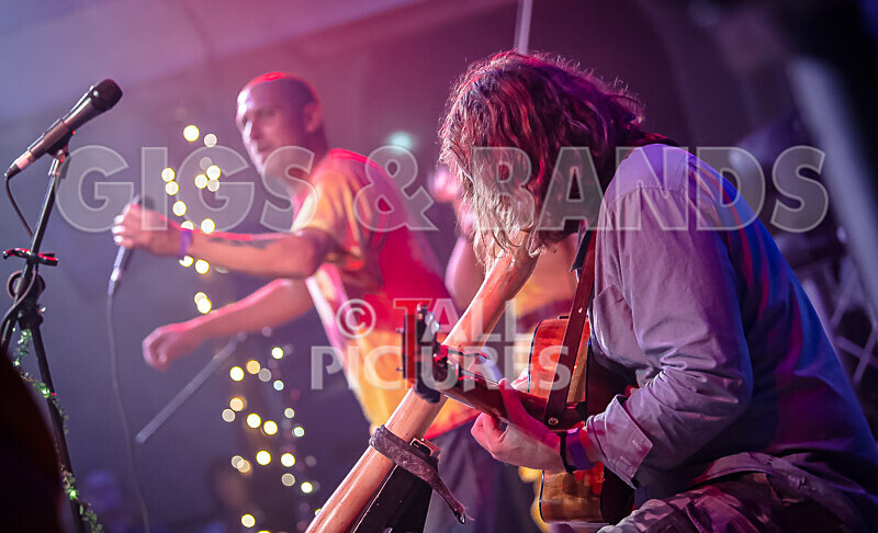 Buffalo Huddleston-540 - BUFFALO HUDDLESTON