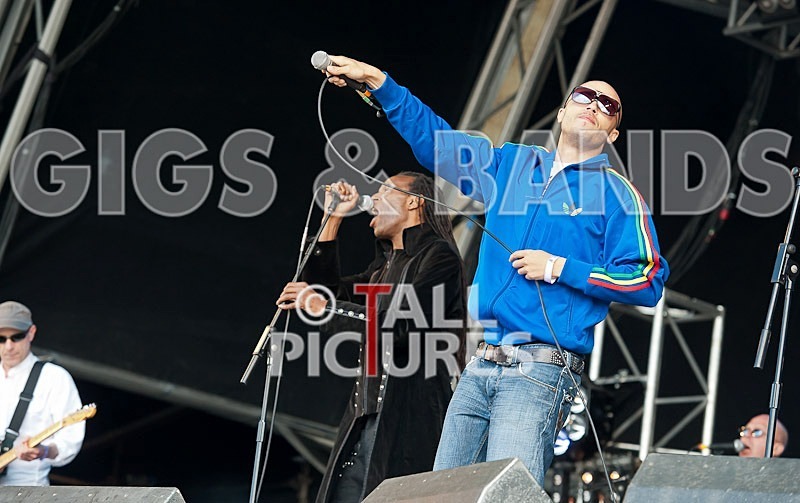 The Beat-41 - THE BEAT