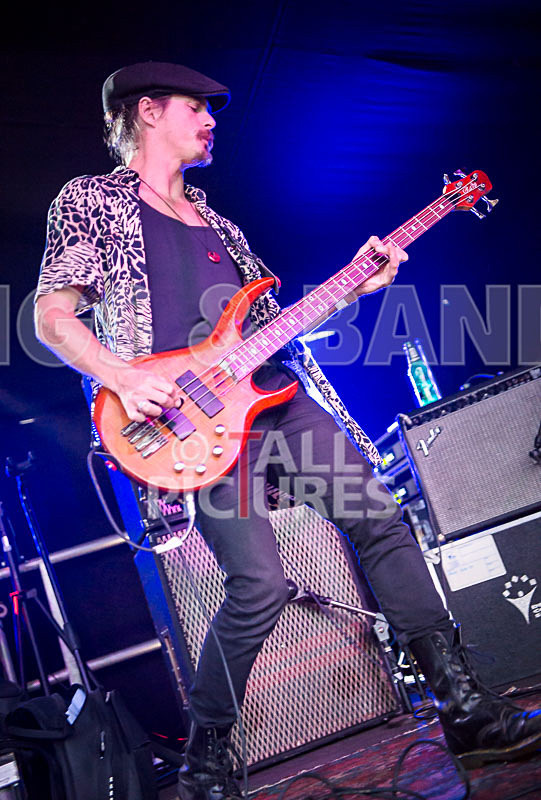 The Gaa Gaas-95 - THE GAA GAAS