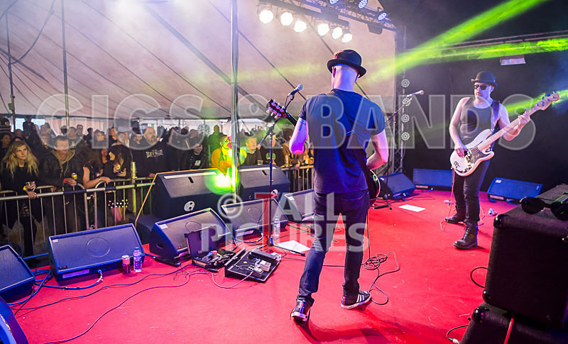 Peppered Ant Legs-240 - PEPPERED ANT LEGS