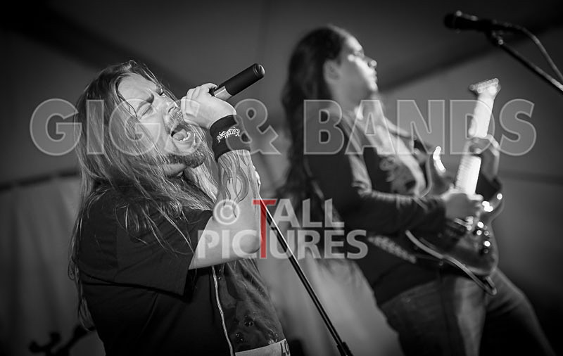 Stone Em All-339 - STONE EM ALL