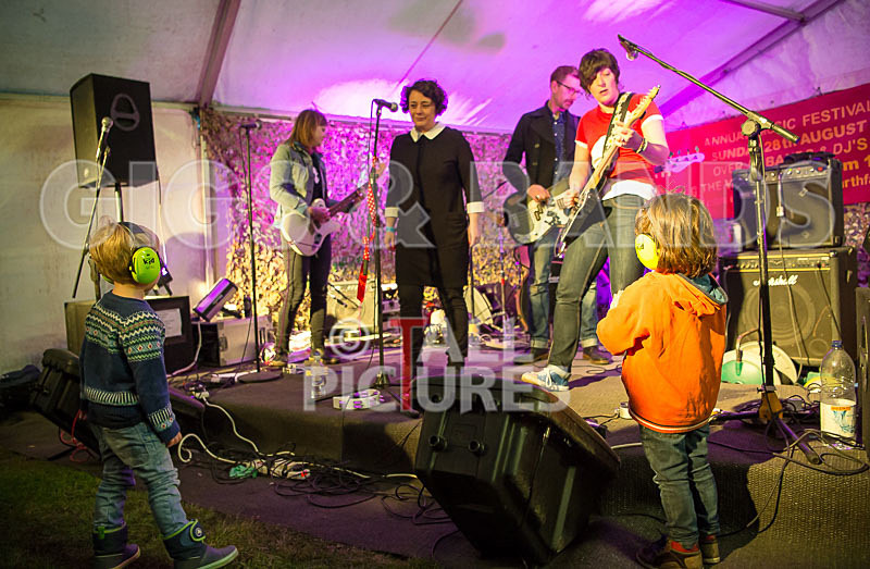 Swallows-19 - SWALLOWS