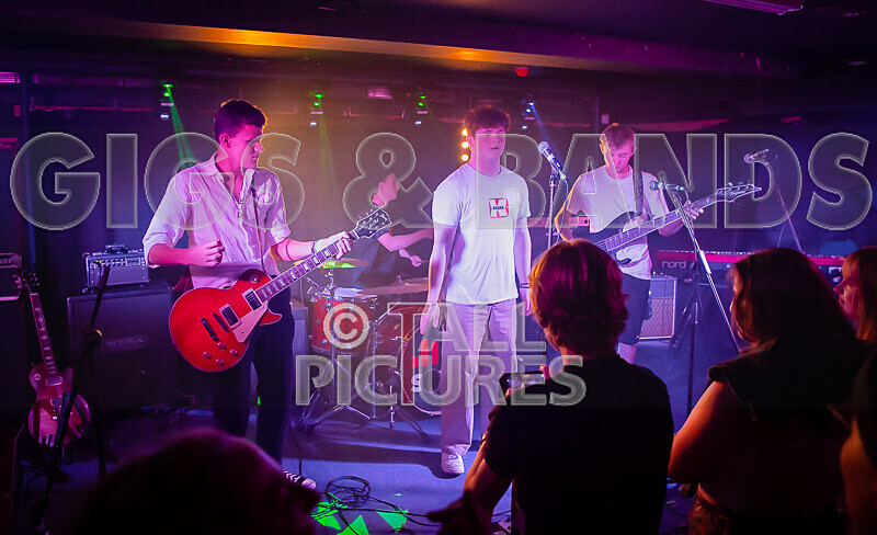 Black Dog-30 - BLACK DOG