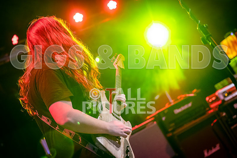 Lord Vapour-242 - LORD VAPOUR