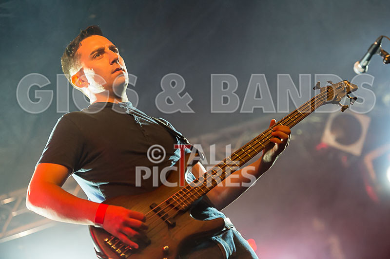 To the Woods-259 - TO THE WOODS