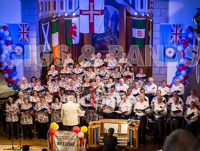 Festiva_Lib Day_2012-13 - FESTIVA