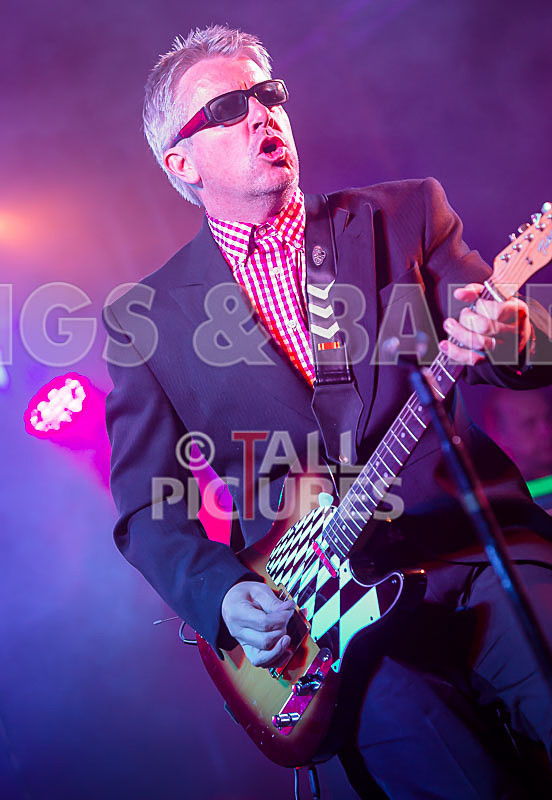 Sons of the Desert-285 - SONS OF THE DESERT