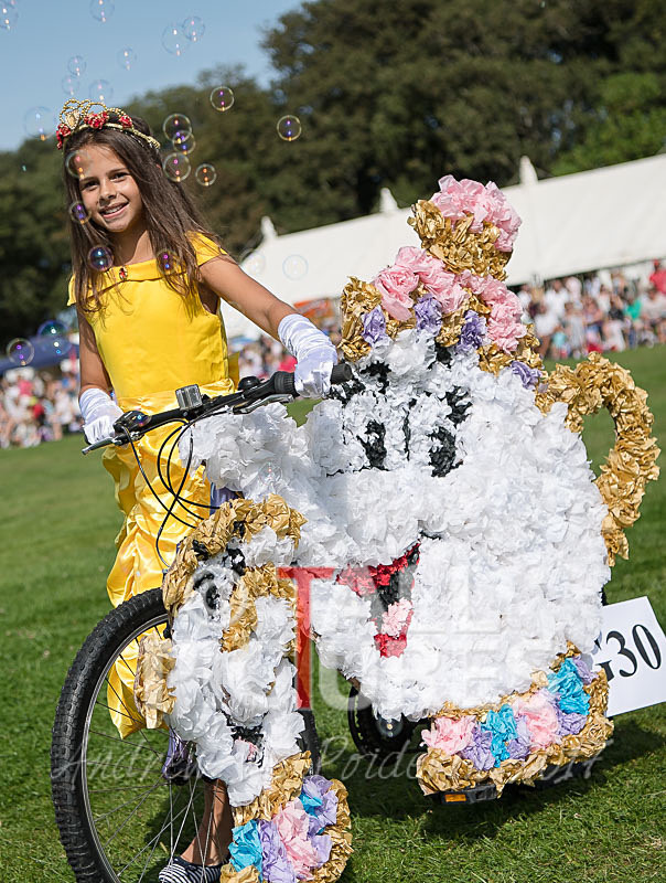 North Show 2017-23 - NORTH SHOW 2017