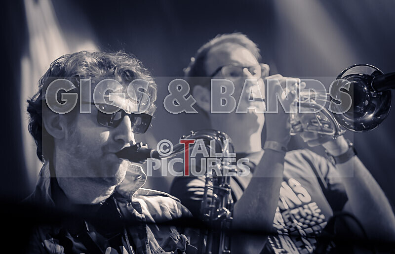 Sons of the Desert-449 - SONS OF THE DESERT