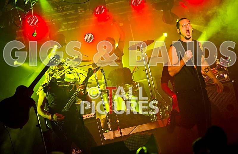 Breed77-12 - BREED77