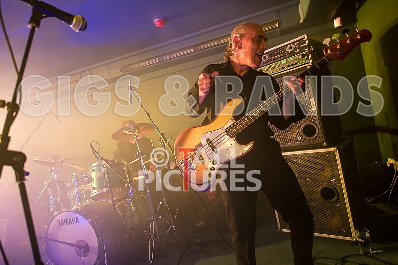 The Wilko Johnson Band-79 - THE WILKO JOHNSON BAND