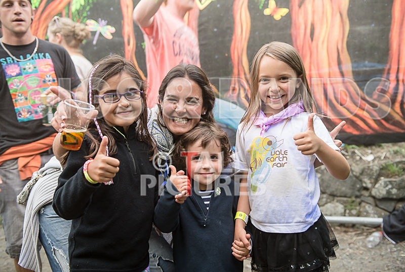 Vale Earth Fair_Atmosphere_2014-5 - VALE EARTH FAIR 2014 - THE ATMOSPHERE