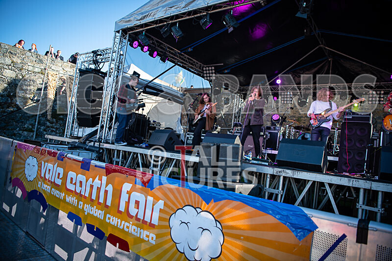 Vale Earth Fair 2020_THE SCENE-6 - VALE EARTH FAIR 2020_THE SCENE