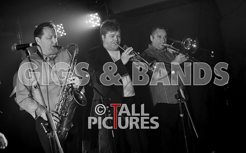 King Rat and the Soul Cats-67 - KING RAT & THE SOUL CATS