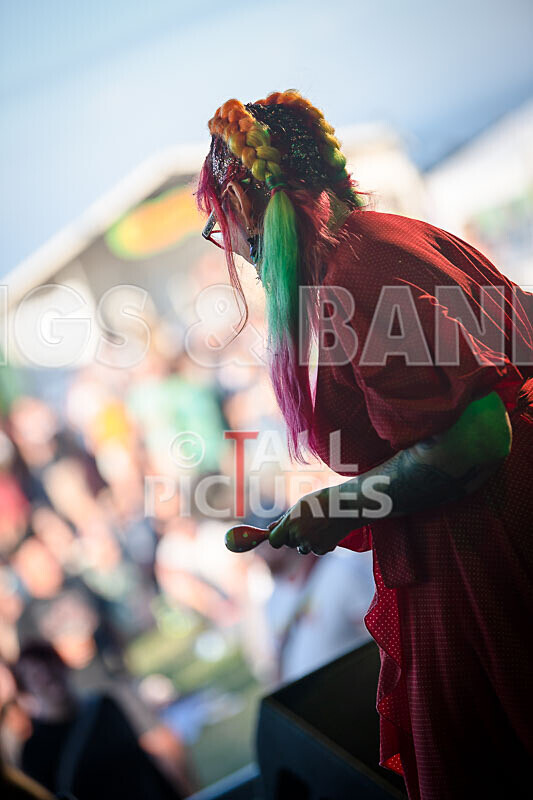 The Sacred Hearts-114 - THE SACRED HEARTS