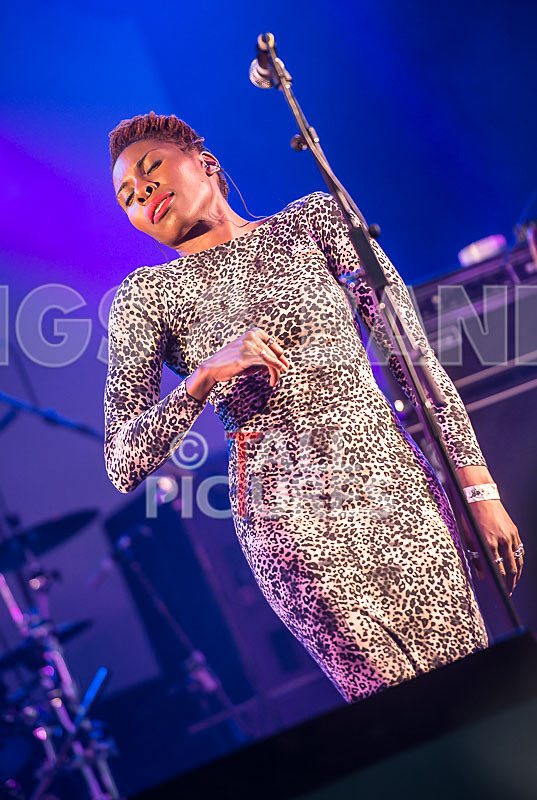 The Delegators-32 - THE DELEGATORS