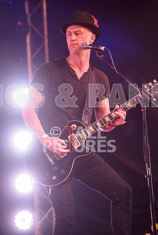 Peppered Ant Legs-213 - PEPPERED ANT LEGS