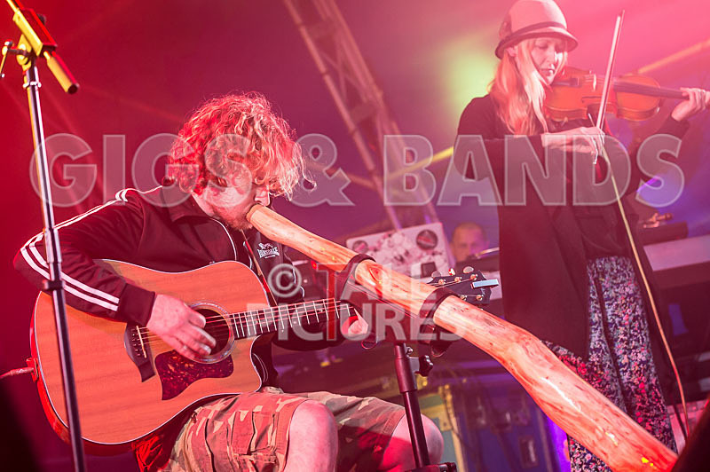 Buffalo Huddleston-204 - BUFFALO HUDDLESTON