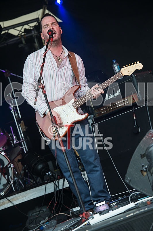 Wild Card-139 - WILD CARD