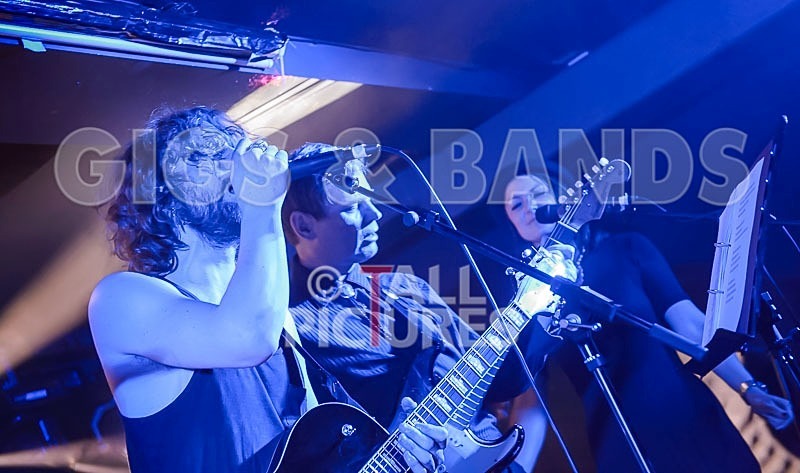 Bill Adlard the Blues Kings-65 - BILL ADLARD & THE BLUES KINGS