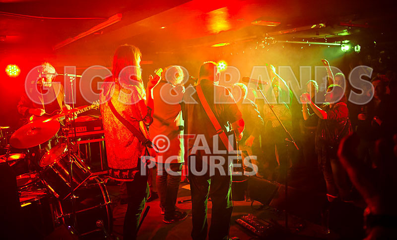 Alfie Bartons 25th Anniversary Gig-34 - ALFIE BARTON'S 25th ANNIVERSARY SPECIAL