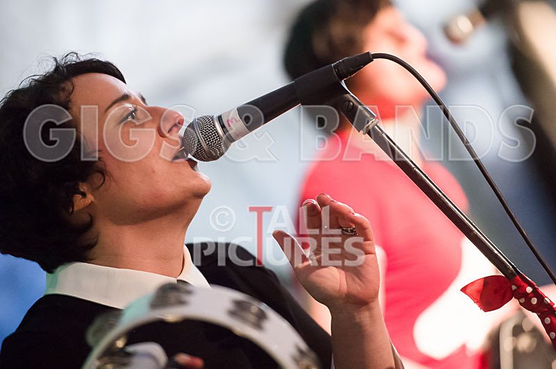 Swallows-4 - SWALLOWS