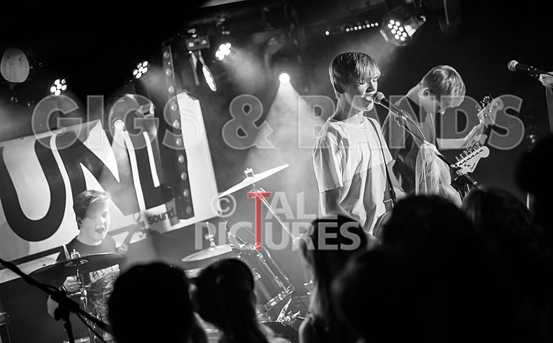 Cosmic Fish-27 - COSMIC FISH