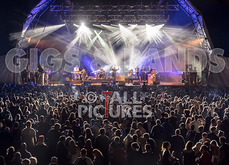 Madness-67 - MADNESS