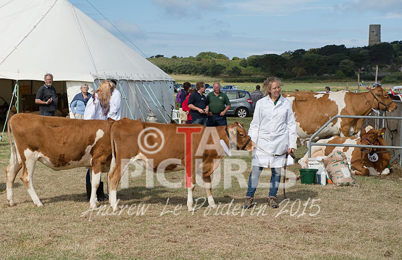 West Show_2014-1 - THE WEST SHOW 2014