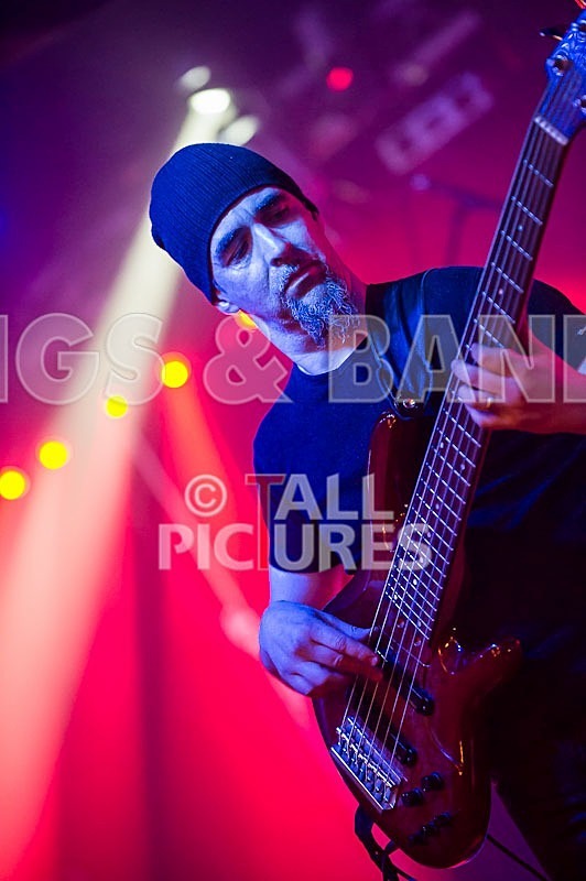 Gallus Cooper-19 - GALLUS COOPER