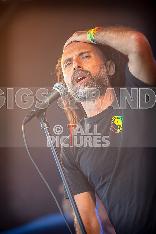 Benny the Moth-129 - BENNY THE MOTH