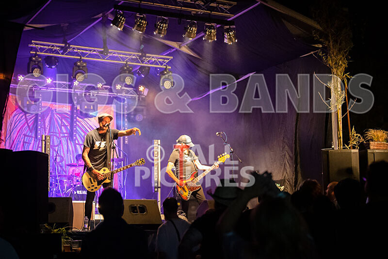 The Electric Shakes-180 - THE ELECTRIC SHAKES