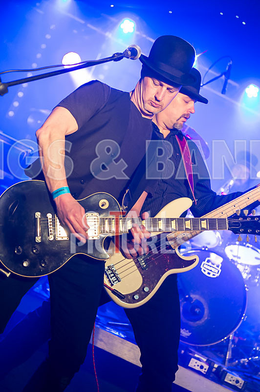 Peppered Ant Legs-155 - PEPPERED ANT LEGS