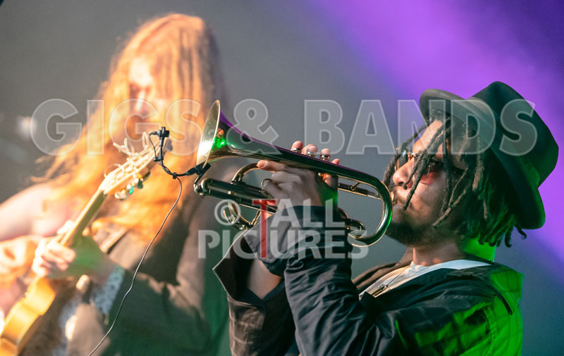 The Recks-785 - THE RECKS