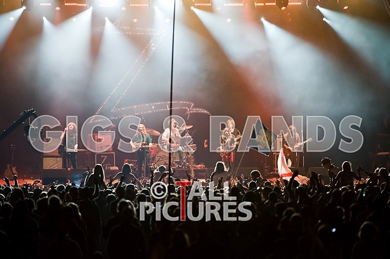 Zutons-3 - THE ZUTONS