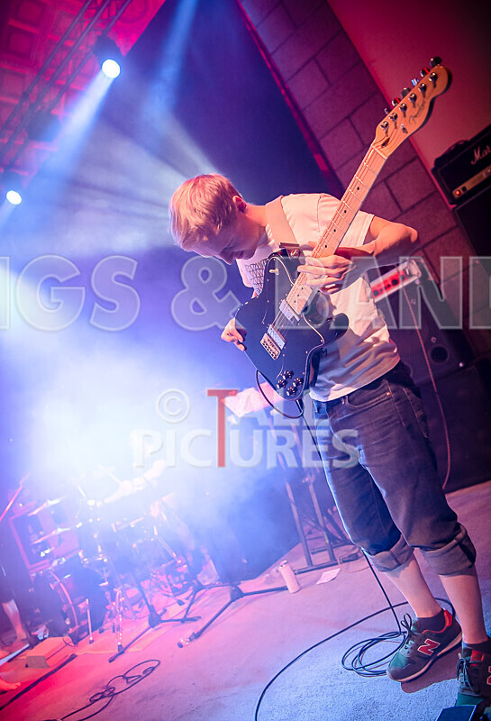 Pigsx7-68 - PIGS PIGS PIGS PIGS PIGS PIGS PIGS